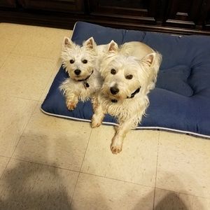 Meet your Posher, Timothy